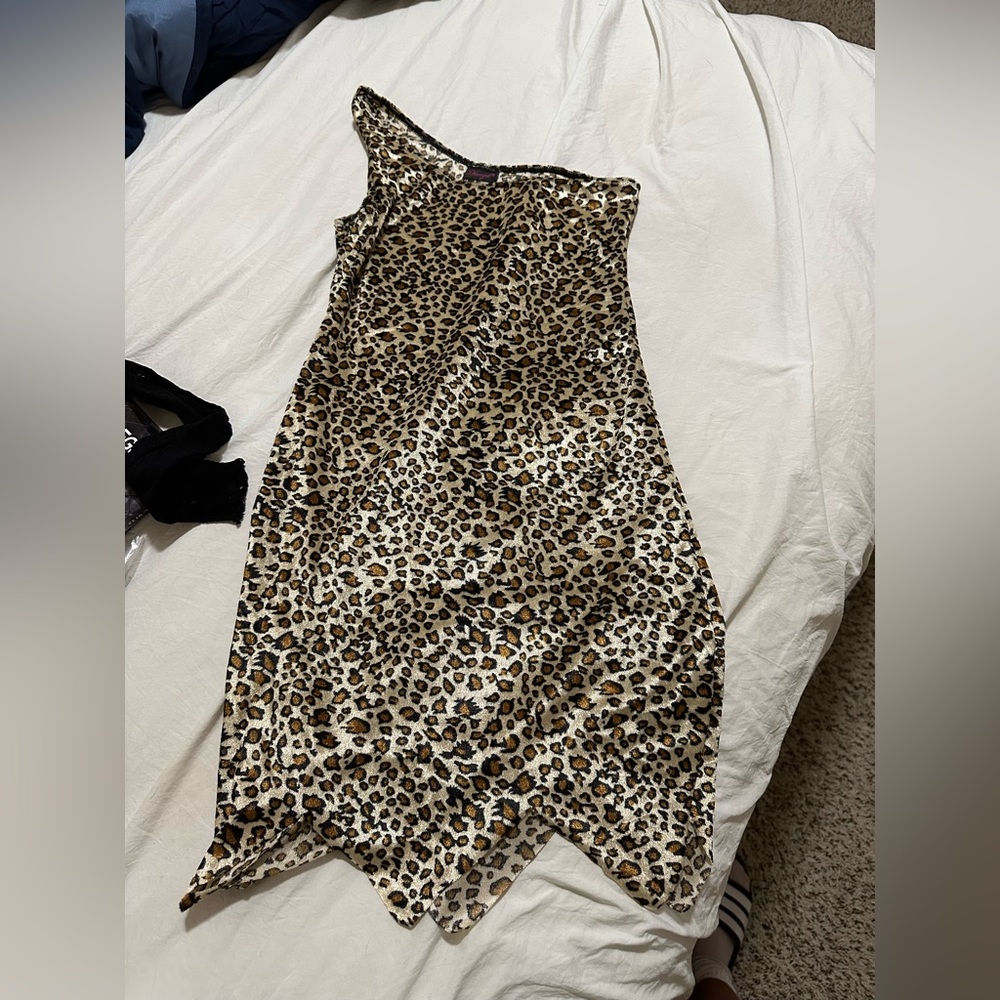 Cheetah Halloween costume